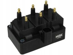 48220 Cewka Zapłonowa Ngk