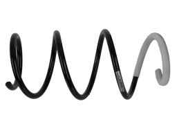 991 198 Sprężyna Zawieszenia Przód L/P Pasuje Do: Suzuki Swift Iv 1.2