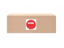 48887 Cewka Zapłonowa Ngk