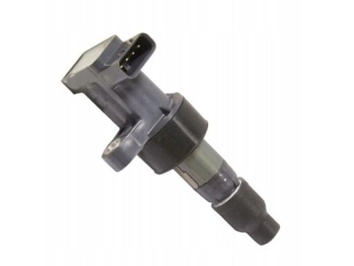 133896 Cewka Zapłonowa Huco