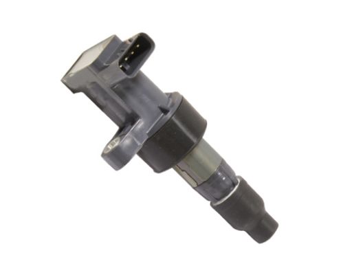 133896 Cewka Zapłonowa Huco