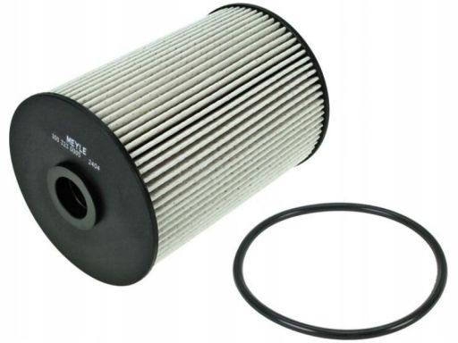 100 323 0005 Filtr Paliwa Meyle