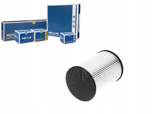 100 323 0005 Filtr Paliwa Meyle