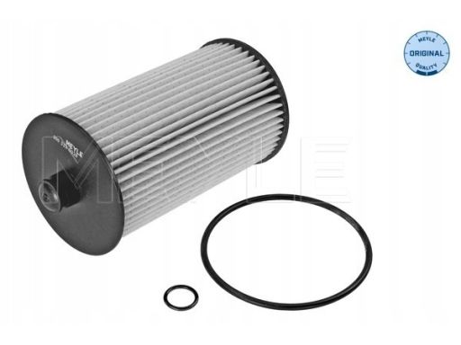 100 323 0028 Filtr Paliwa Meyle