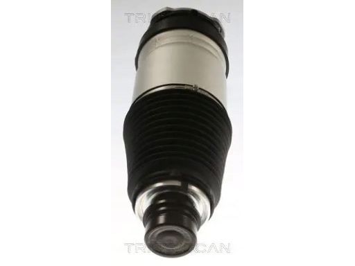 8720 81101 Poduszka Powietrzna Tesla P. Model S Ev Triscan