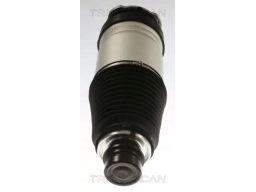 8720 81101 Poduszka Powietrzna Tesla P. Model S Ev Triscan