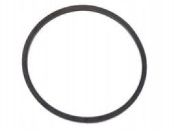 Oring Uszczelka Filtra Oleju Mercedes W424 W427