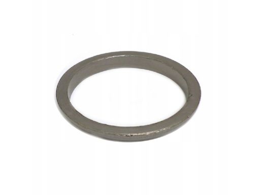 Uszczelka Pierścień rury wydechu Mercedes W172 A0004920981