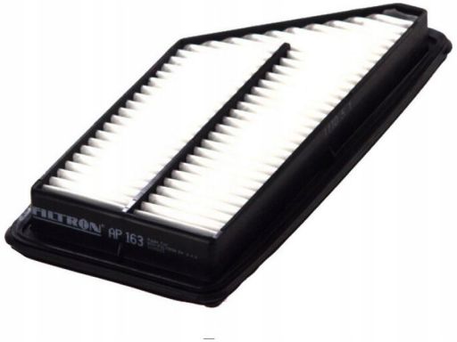 Filtr Powietrza Ap 163