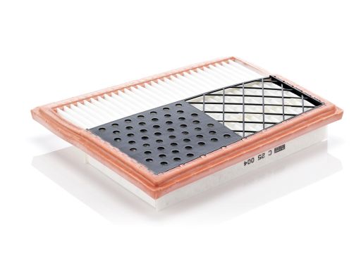 Filtr Powietrza C 25 004