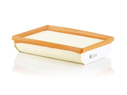 Filtr Powietrza C 25 033