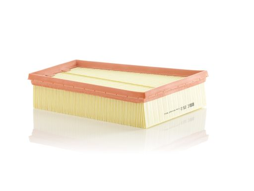 Filtr Powietrza C 2512