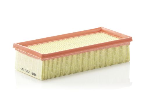 Filtr Powietrza C 2561