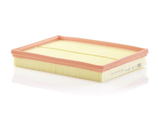 Filtr Powietrza C 30 125/4