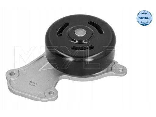 16-13 220 0033 Pompa Wody Renault 1,0Tce Meyle