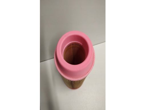 Filtr Powietrza C 11 100