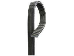 Pasek Wieloklinowy 6Dpk2184