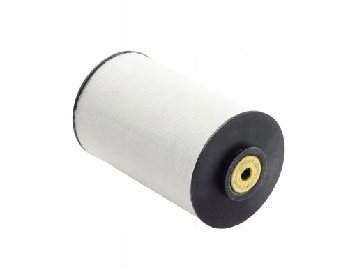 Filtr Paliwa E10Kfr4 D10