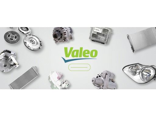 251562 Przełącznik Zespolony Kolumny Kierownicz Valeo