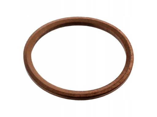 Uszczelka Korka Spustowego Oleju 19422