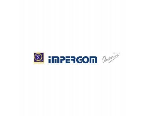 19096 Wąż, Wymiennik Ciepła (Ogrzewanie) Original Imperium