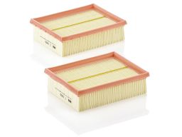 Filtr Powietrza C 1955-2