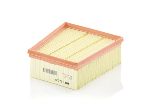 Filtr Powietrza C 22 026