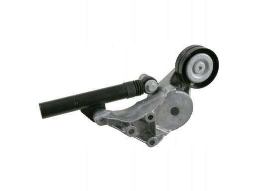 Fe21690 Napinacz Paska Wielorowkowego Pasuje Do: Audi A3, Seat Cordoba