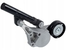 Fe21690 Napinacz Paska Wielorowkowego Pasuje Do: Audi A3, Seat Cordoba