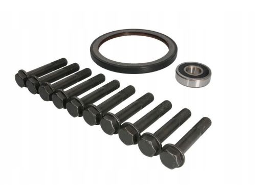 Fe46307 Zestaw Śrub Koła Zamachowego (M16X1,5Mm, Dł.81Mm) Pasuje Do: