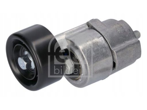 Fe181685 Napinacz Paska Wielorowkowego Pasuje Do: Hyundai Grandeur, Ix