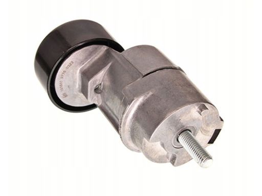 Fe181685 Napinacz Paska Wielorowkowego Pasuje Do: Hyundai Grandeur, Ix