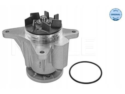 53-13 220 0008 Pompa Cieczy Chłodzącej Meyle