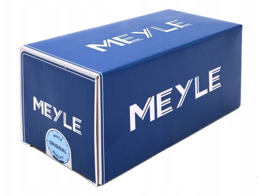 313 220 0018 Pompa Cieczy Chłodzącej Meyle