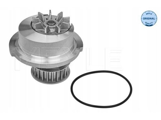 613 600 4046 Pompa Cieczy Chłodzącej Meyle