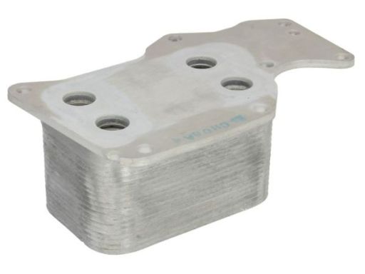 D4B031Tt Chłodnica Oleju Thermotec