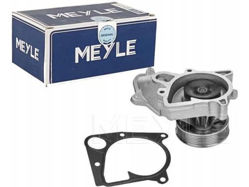 313 220 0001 Pompa Cieczy Chłodzącej Meyle