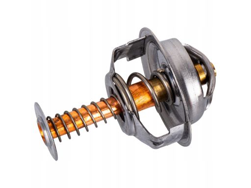 Tv-4.82 Termostat Środka Chłodzącego Thermotec