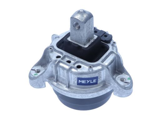 300 221 1148 Poduszka Silnika P, Hydrauliczna Pasuje Do: Bmw 5 (F10),