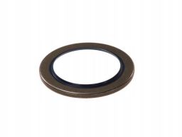 Uszczelniacz Wałka Atakującego 01027950B