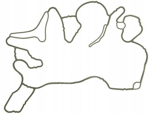 Uszczelka Osłony Rozrządu 444.900