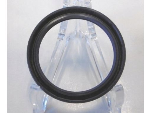 Uszczelniacz Piasty Koła 12011173B