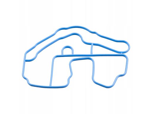 Fe179662 Uszczelka Termostatu Płynu Chłodzącego Pasuje Do: Renault Cli