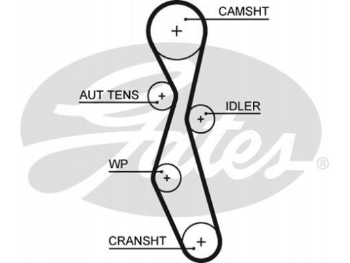 Pasek Rozrządu 5606Xs