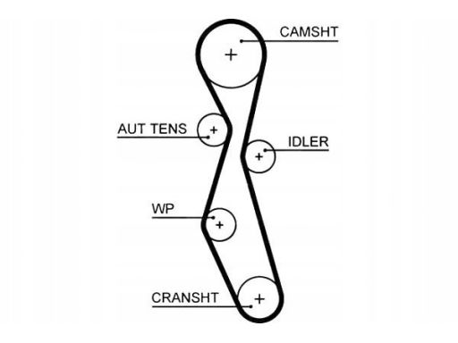 Pasek Rozrządu 5606Xs