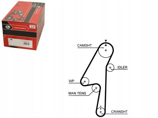 5580Xs Pasek Rozrządu Gates