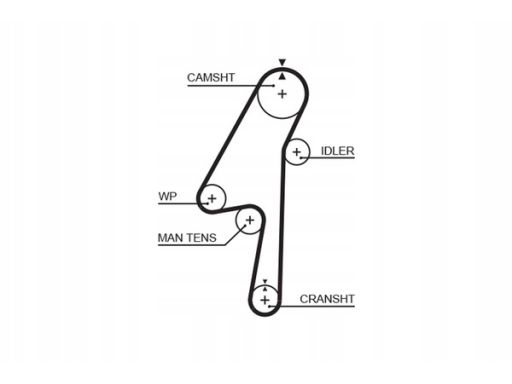 5580Xs Pasek Rozrządu Gates