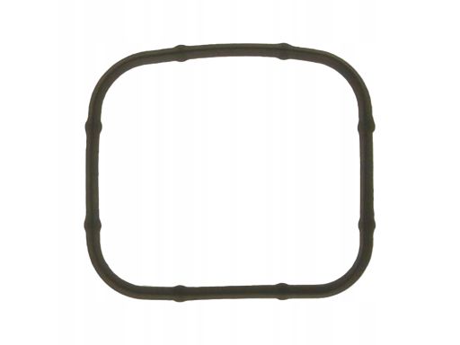 Co450365H Uszczelka Kolektora Ssącego Pasuje Do: Volvo C30, S40 Ii, V5