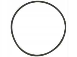 Uszczelka Rury Kolektora Dolotowego 967.800