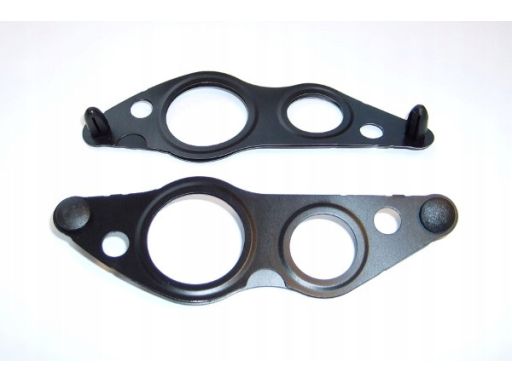 Uszczelka Przewodu Zaworu Egr 891.880